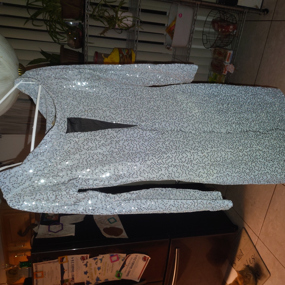 Sparkling Silver Sequin Dress